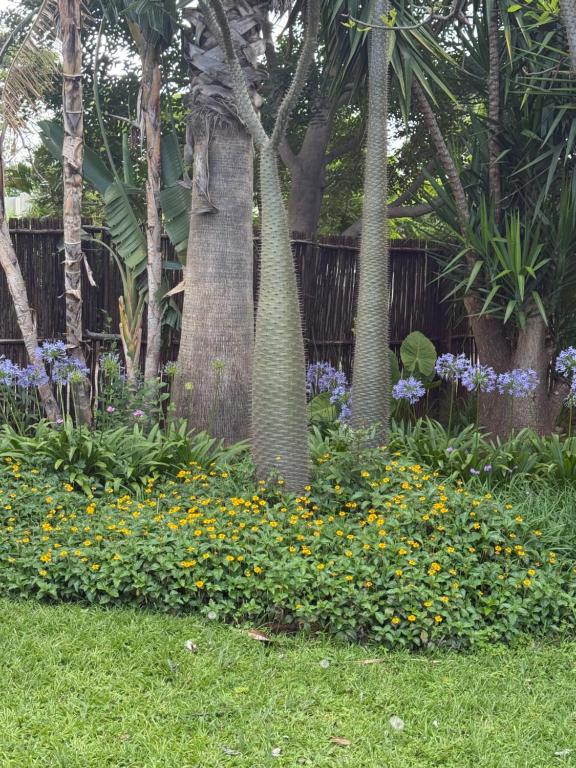 En have udenfor La Bushka Guesthouse