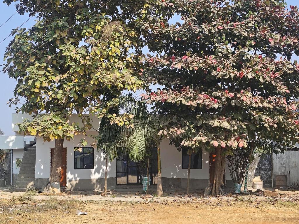 Tòa nhà nơi nhà nghỉ trang trại tọa lạc