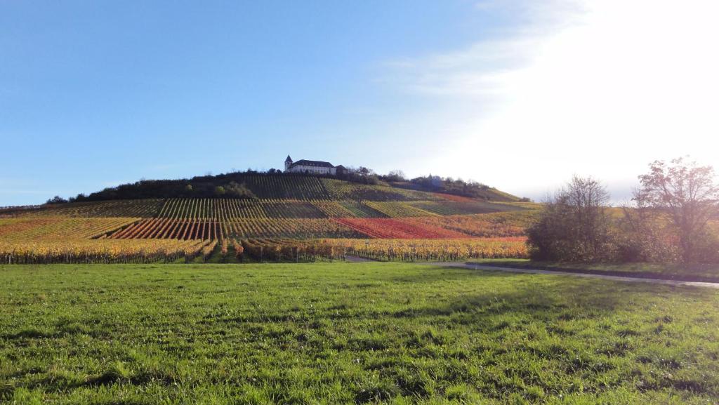 Ein Hügel mit einem Haus darüber in der Unterkunft HeiMaT Häusle - Heike Marcus Tiny-houses in Cleebronn