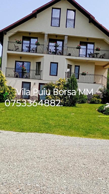 博尔沙Vila Puiu Borsa MM的一栋大型建筑，前面有窗户和草坪。