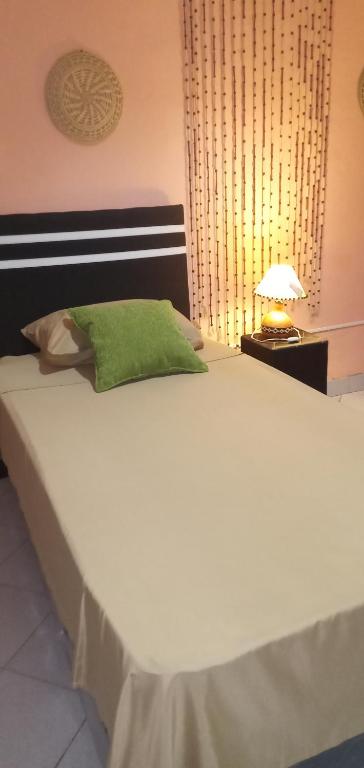 a white bed with a green pillow and a lamp at Brisas del rio in Formosa