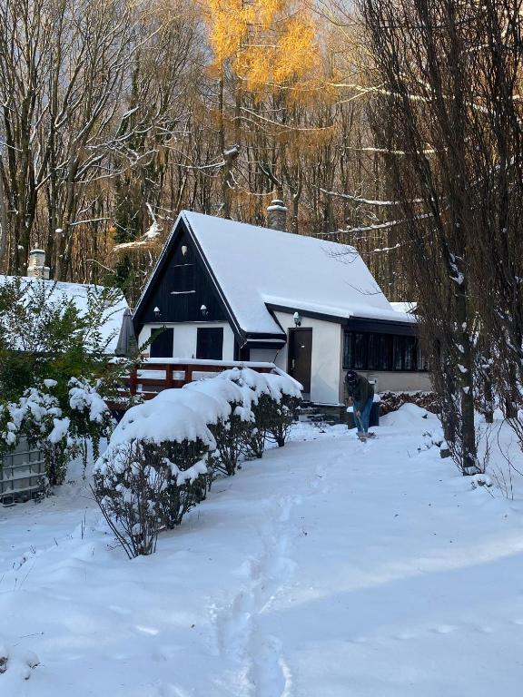 Chata v Karpatoch om vinteren