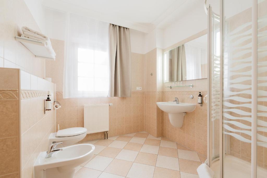 Hotel VÍTKOVA HORA - 17