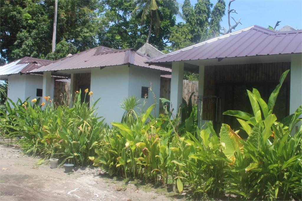 Zahrada ubytování Bay de Emmanuel Rooms