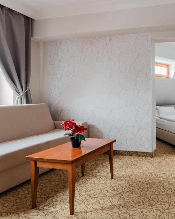 Hotel VÍTKOVA HORA - 13