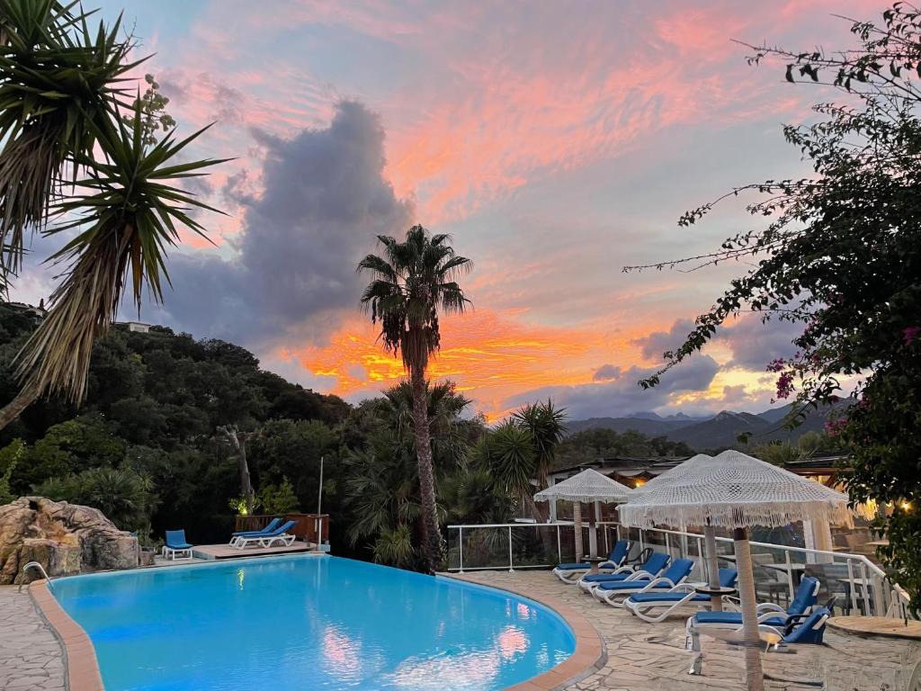 a pool with chairs and a palm tree and a sunset at Residence Fium Del Cavo in Sainte-Lucie de Porto-Vecchio