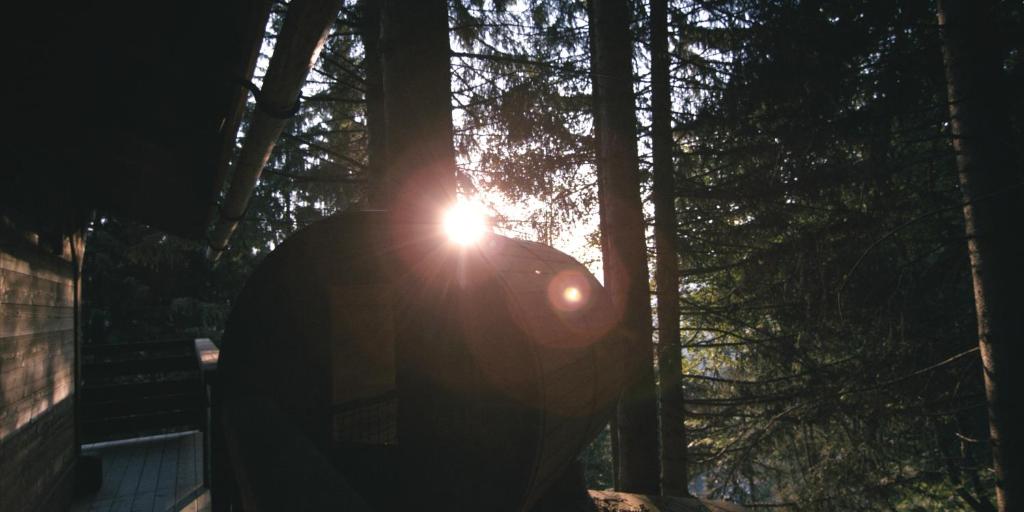 a person is standing in front of some trees at Cabane entre terre et ciel in Saint-Nicolas-la-Chapelle