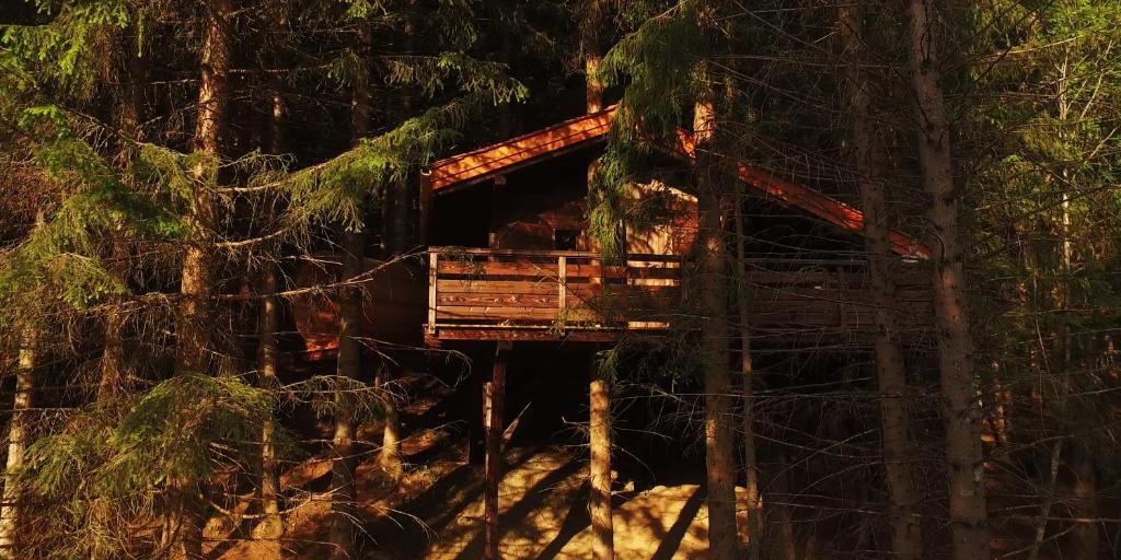a tree house in the middle of a forest at Cabane entre terre et ciel in Saint-Nicolas-la-Chapelle