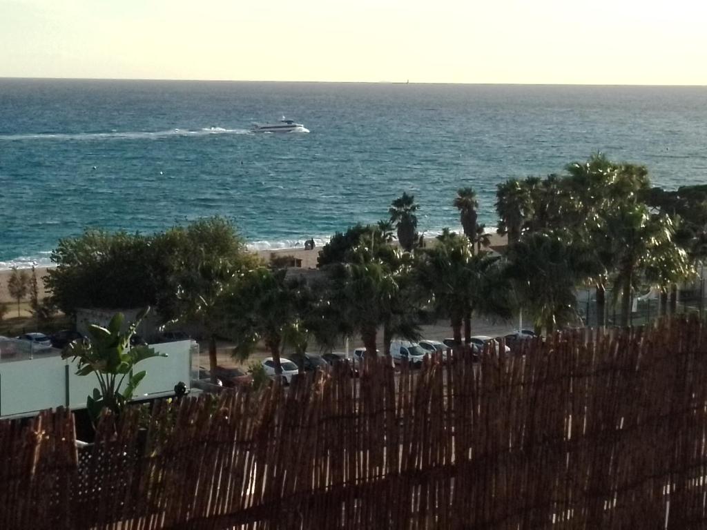 Naturlandskabet i nærheden af lejligheden