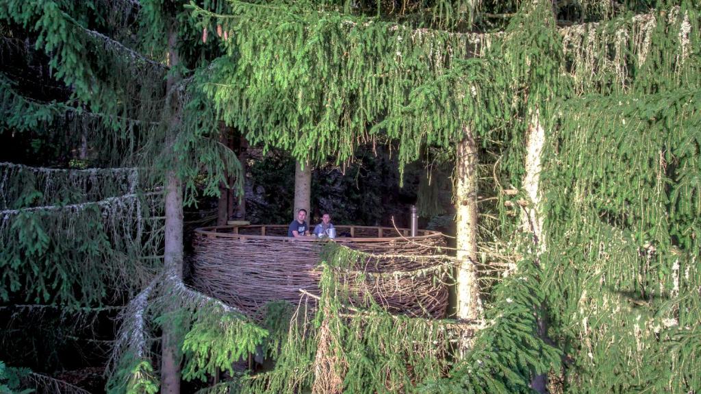 two people sitting on a bridge in a forest at Cabane entre terre et ciel in Saint-Nicolas-la-Chapelle