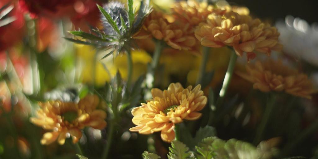 a bunch of orange flowers in a vase at Cabane entre terre et ciel in Saint-Nicolas-la-Chapelle