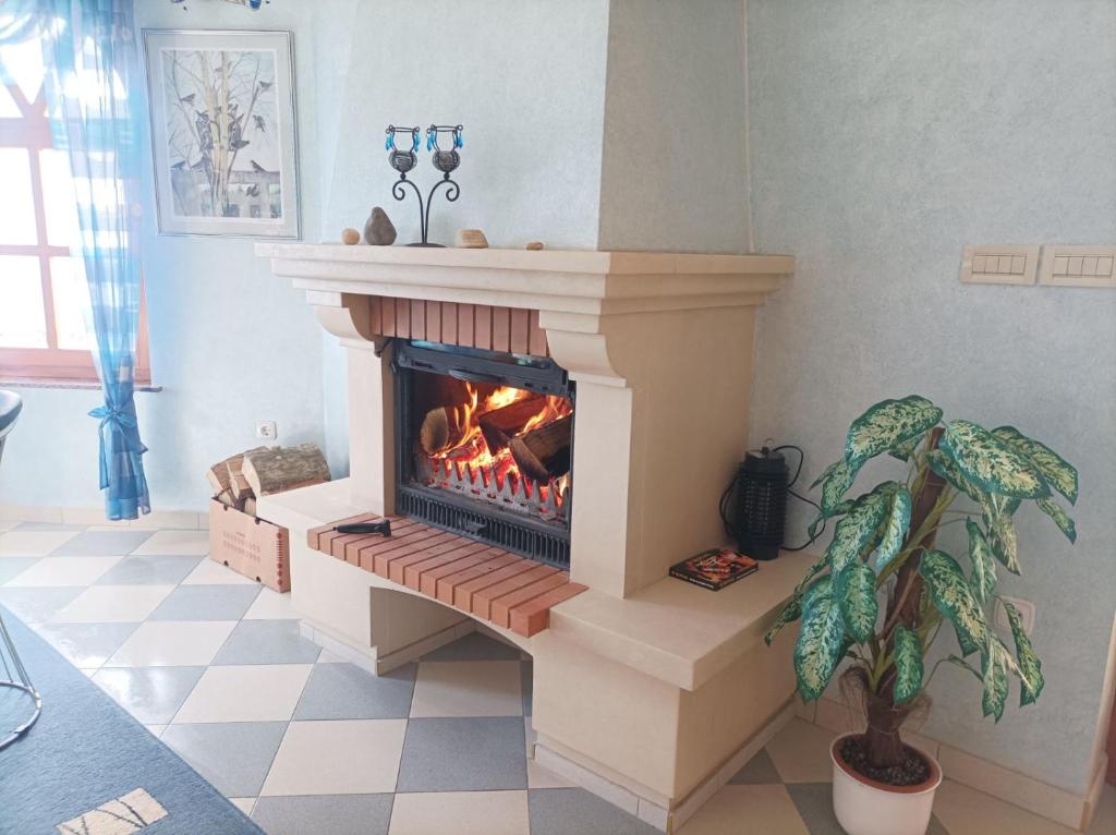 Φωτογραφία από το άλμπουμ του Villa Lotus σε Štrigova