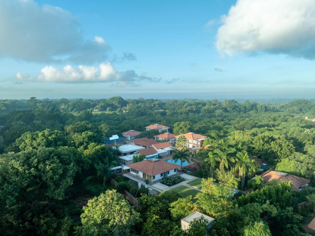 Příroda nedaleko rezortu