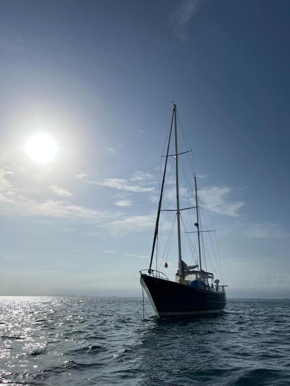 Příroda nedaleko ubytování na lodi