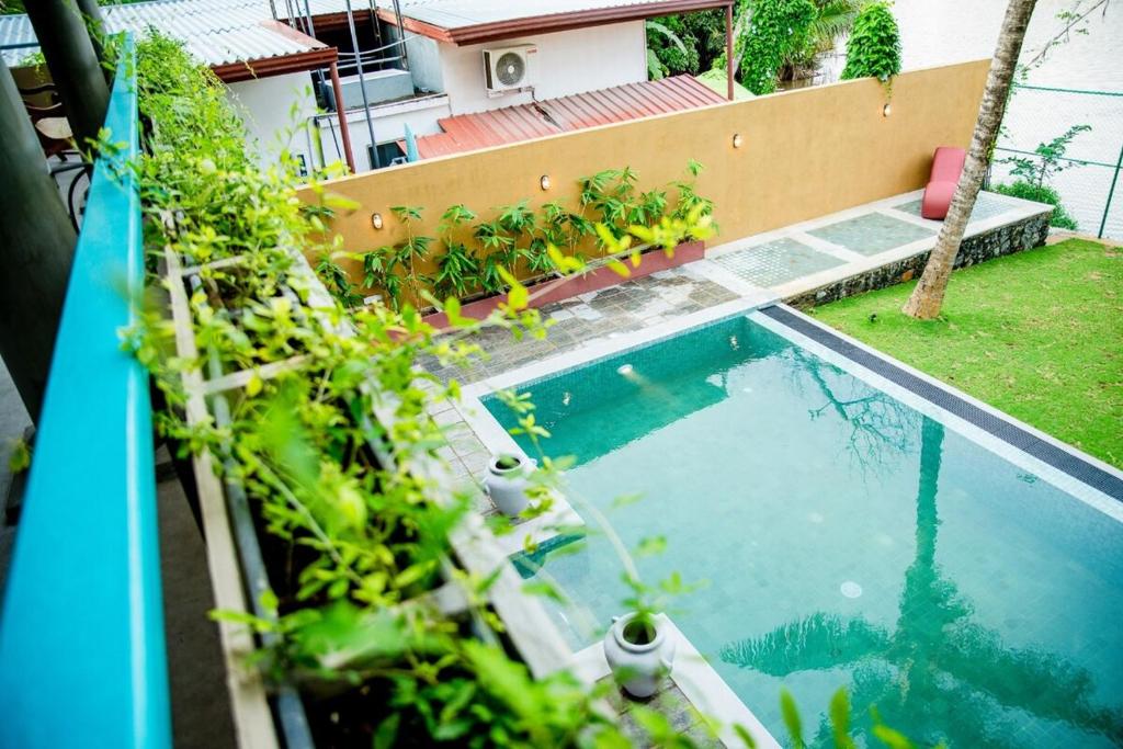 een zwembad voor een huis met planten bij Sithagi River Front Villa Weligama in Weligama