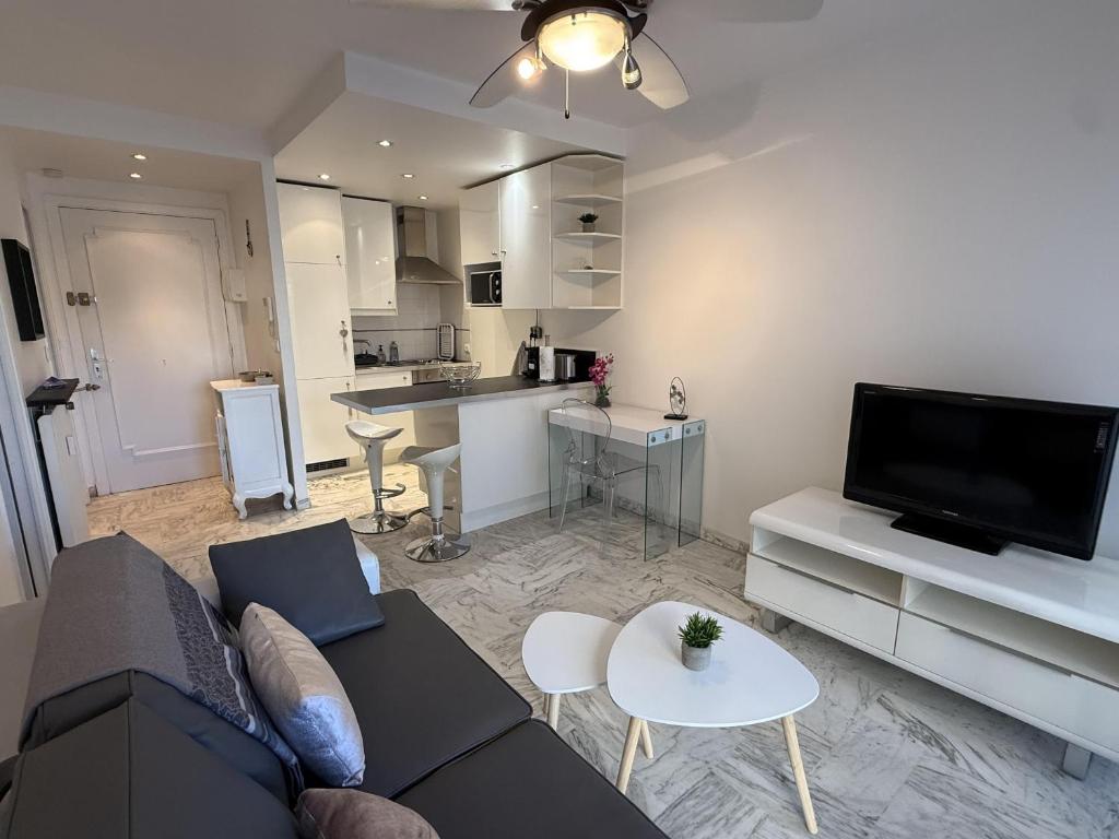 Central Studio in Cannes Near The Martinez - 2351