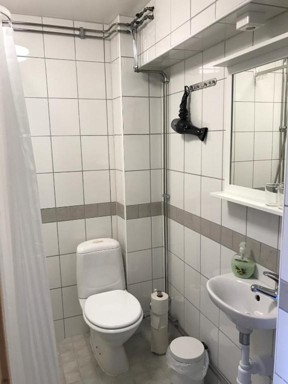 Koupelna v ubytování Hedemora Logi