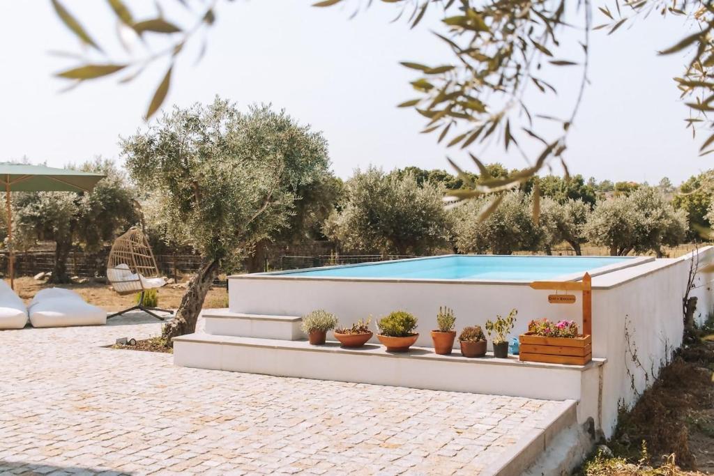 una piscina in un cortile con piante in vaso di Chão do Ribeirinho Country House a Atalaia