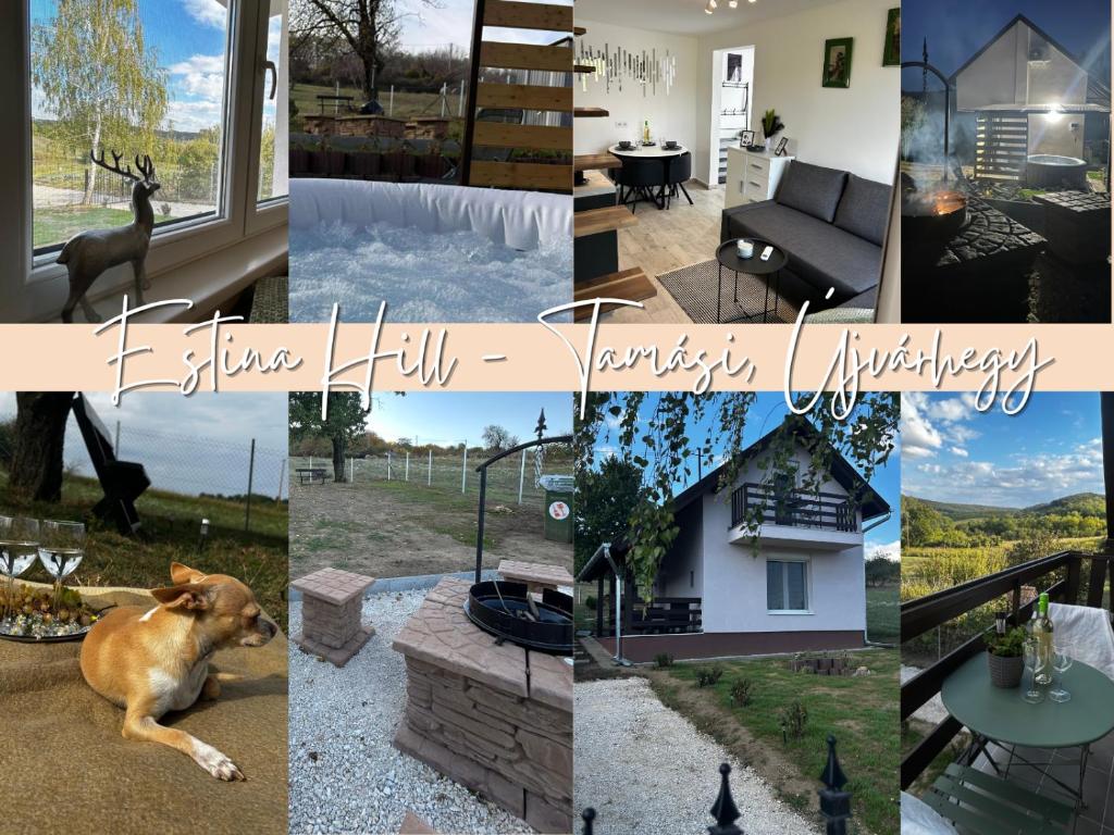 een collage van foto's met een hond en een huis bij Estina Hill in Tamási