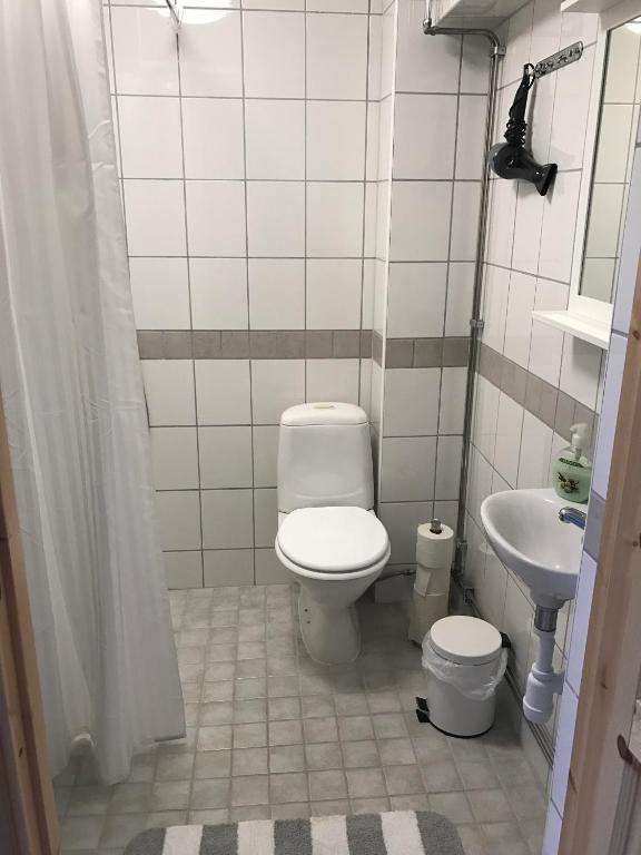 Koupelna v ubytování Hedemora Logi