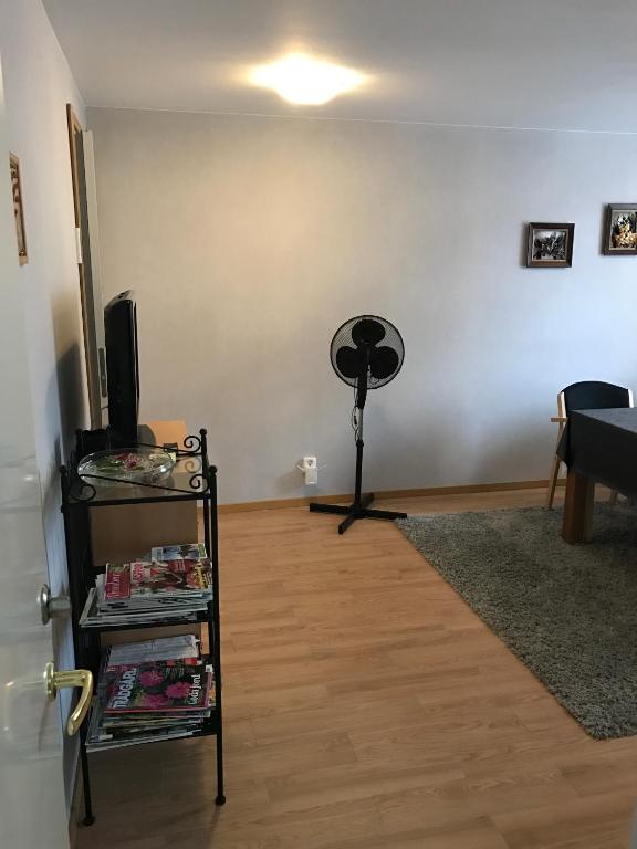 TV a/nebo společenská místnost v ubytování Hedemora Logi