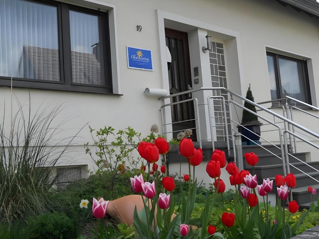 un bouquet de tulipes rouges devant une maison dans l'établissement Ferienwohnung Sonnenring, à Heide