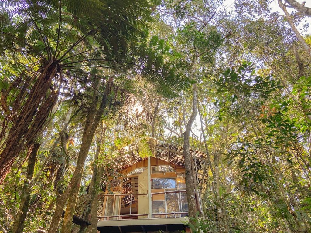 a house in the middle of a forest of trees at Cabana Floresta Amada in Ouro Preto