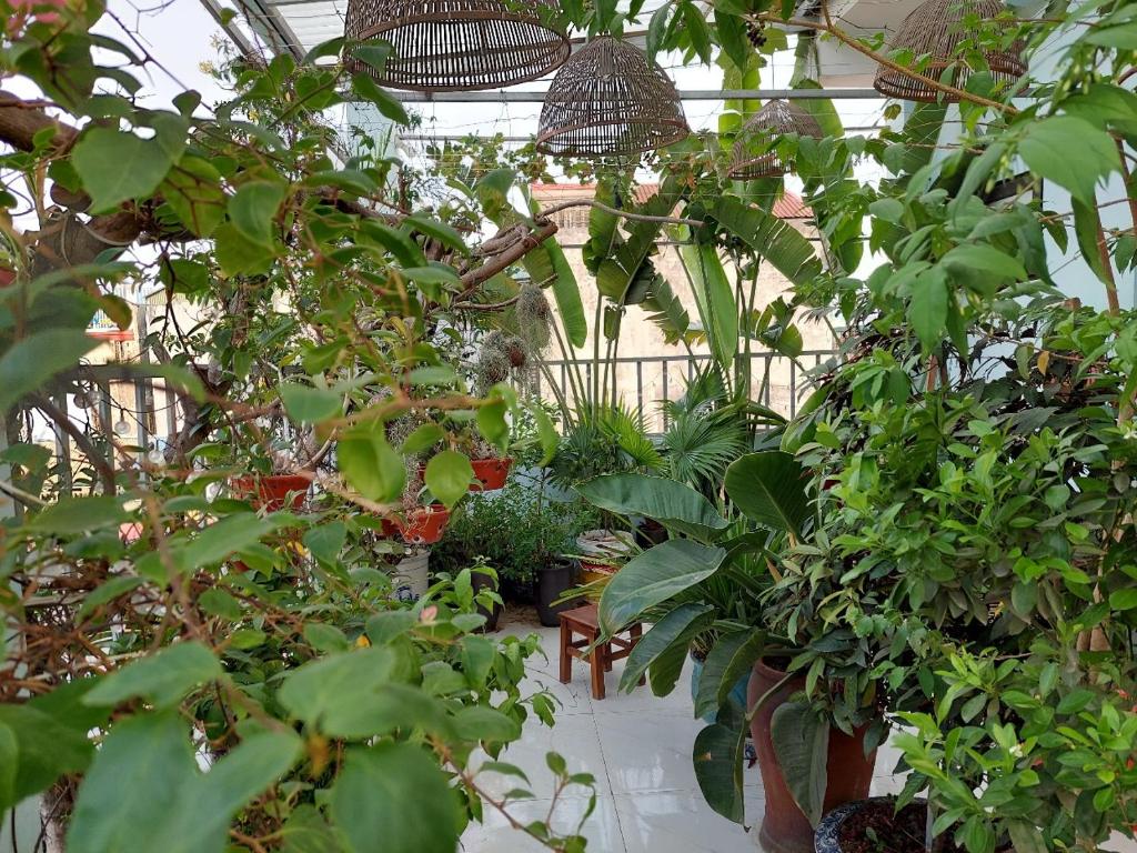 En have udenfor Alleyhomestay- Trần Đại Nghĩa