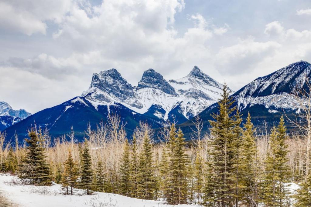 a snow covered mountain range with trees in the foreground at Cozy getaway for exploring Canmore and Banff in Canmore