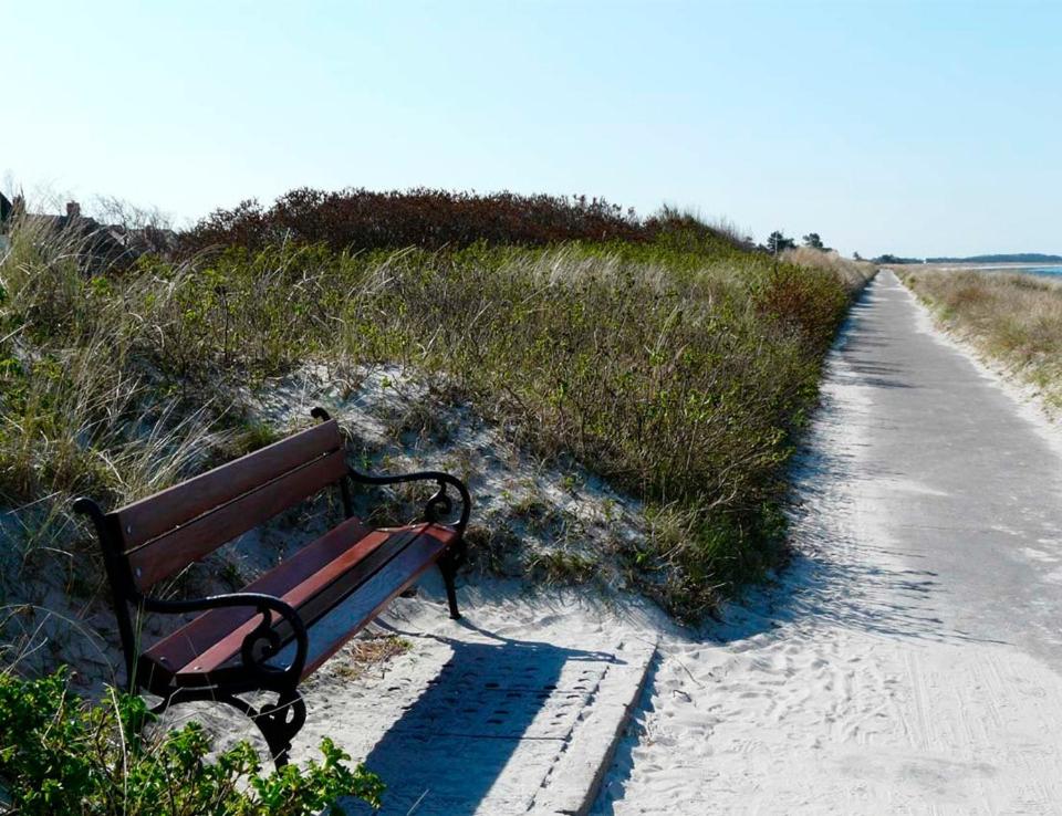 Naturlandskabet i nærheden af feriehuset