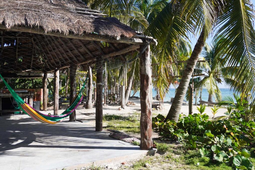 Příroda nedaleko kempu