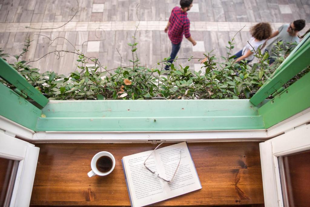 Amymone and Adiandi - 15