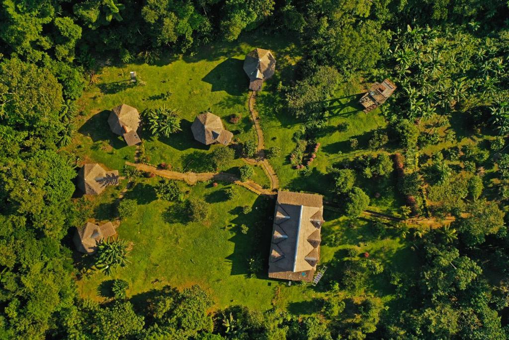 een luchtzicht op een veld met bomen bij Hacienda Tambopata Lodge in Tambopata