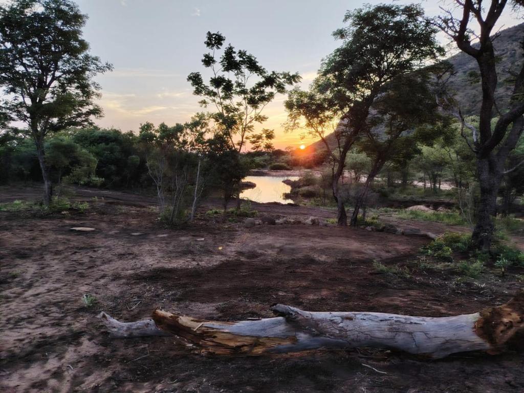 Příroda nedaleko farmy