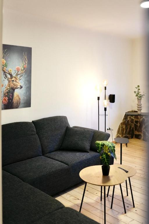 Altstadt Apartment Deluxe 2 - Appartement 1 Chambre