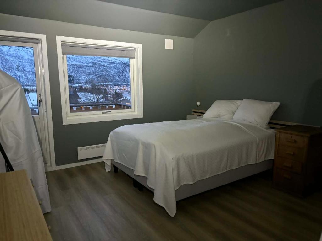 Billede fra billedgalleriet på Hogne's house i Tromsø