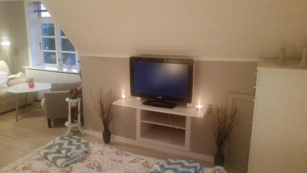TV a/nebo společenská místnost v ubytování Rundvejen Guest House