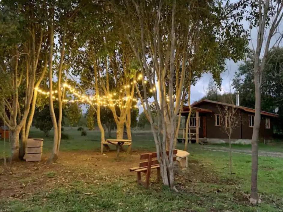 En have udenfor Cabaña La magia del Sur