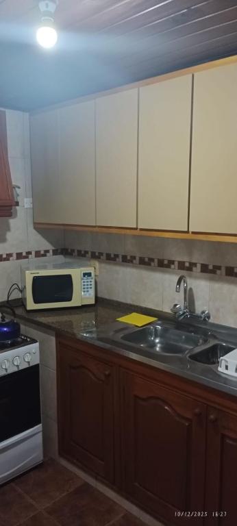 a kitchen with a sink and a microwave at La casita in Minas