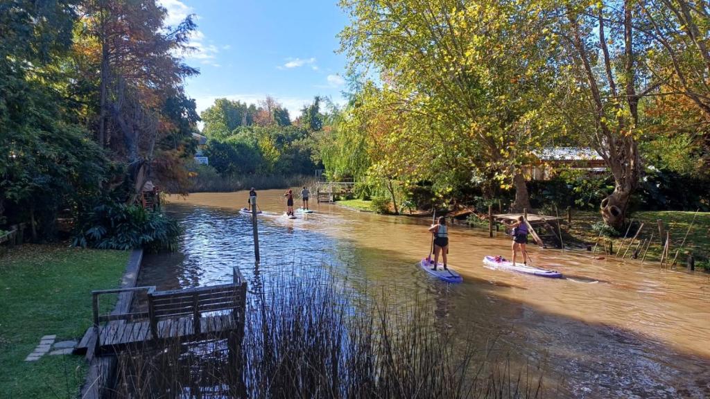 twee mensen staan op paddleboards in een rivier bij Casasdelta in Tigre