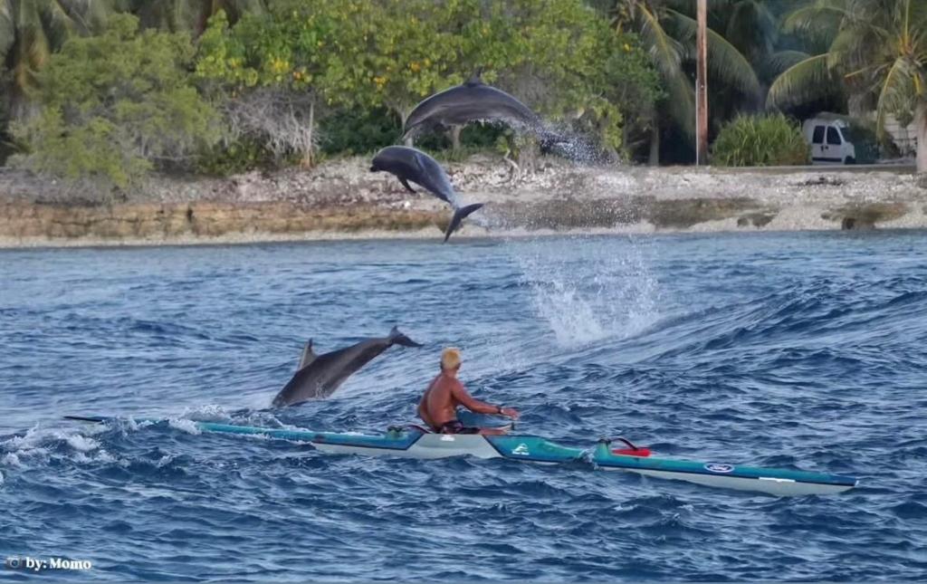 M&M moanatea lodge, Rangiroa - photo 11 - Rangiroa, Polynésie