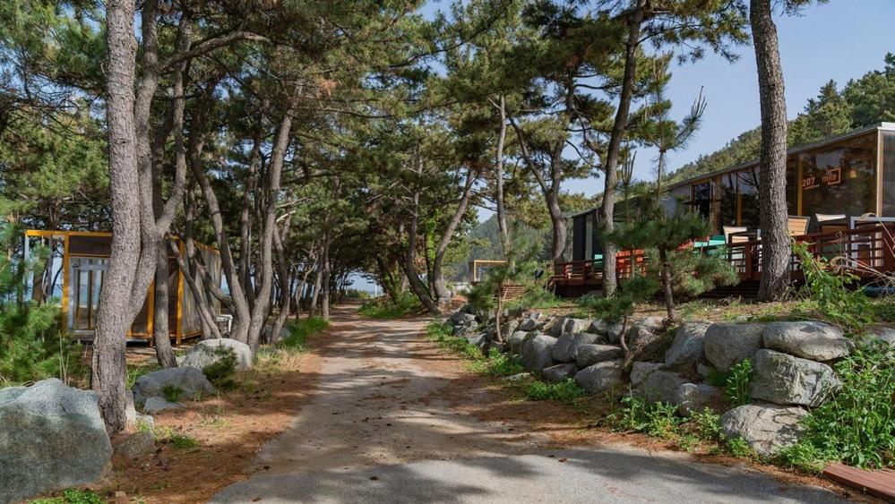 a dirt road leading to a house with trees at Uljin 207 Mile Pool Villa in Uljin