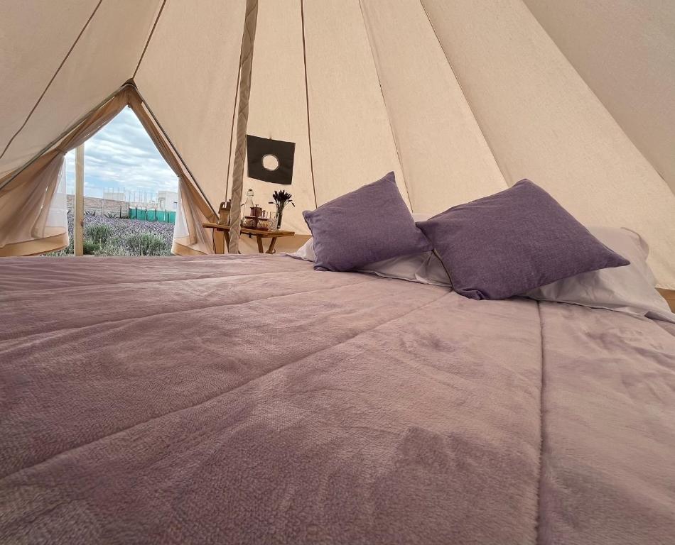 Texcoco de MoraにあるGlamping Rincón de Lavandaのテントの中に紫色の枕が2つ置かれたベッド