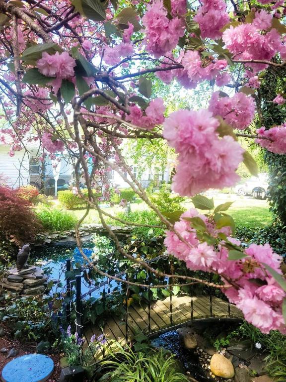 a garden with pink flowers and a pond at vacation paradise in Ararat