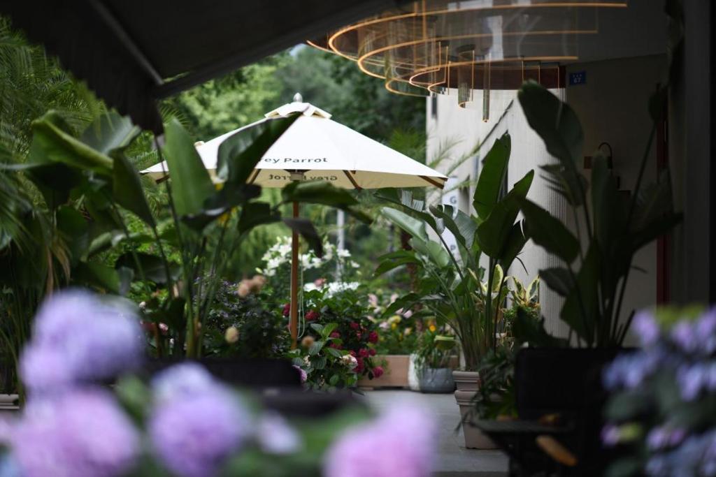 an umbrella in a garden with flowers and plants at Grey Parrot Resort Hotel in Chengdu