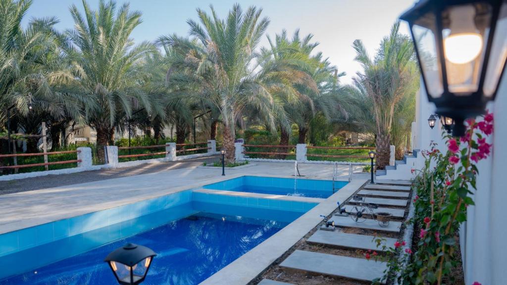 Hồ bơi trong/gần oasis of shade