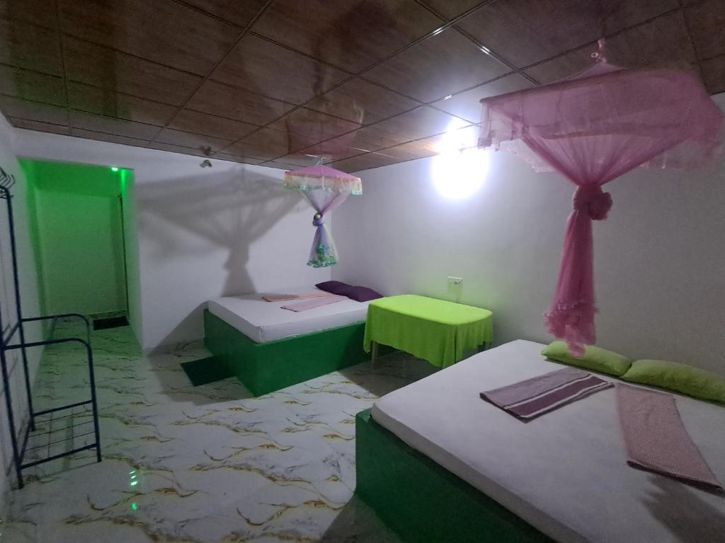 Peacock Family Stay - 9