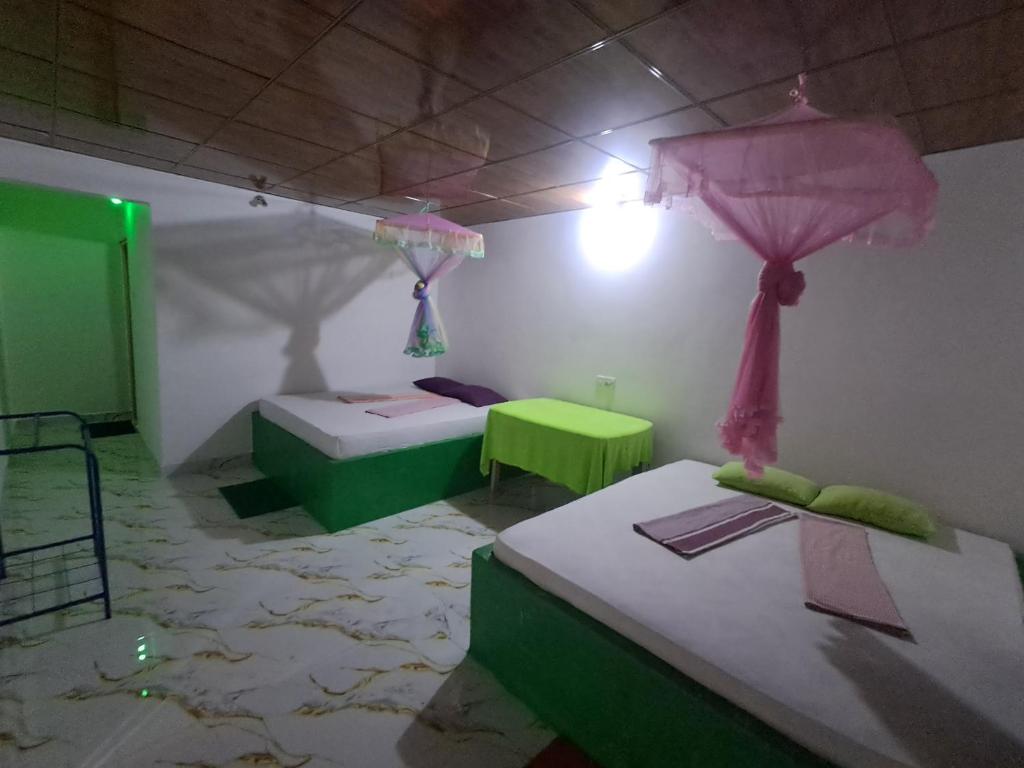 Peacock Family Stay - 10