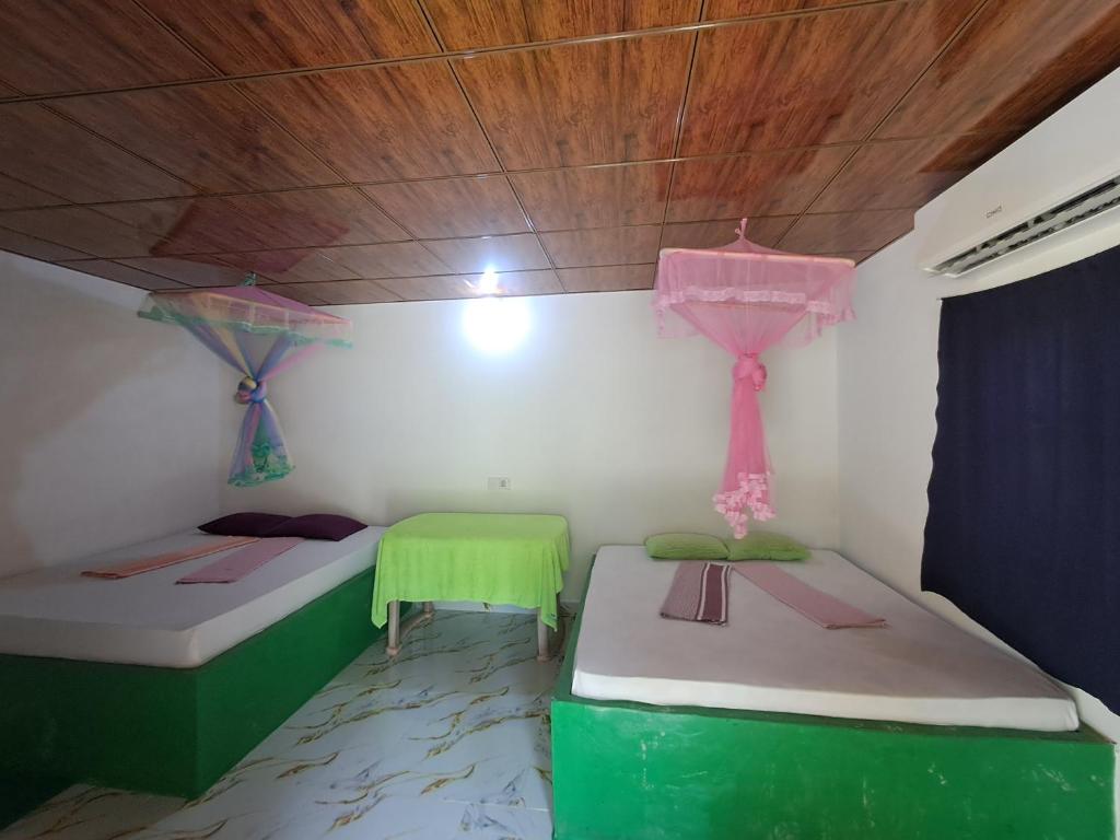 Peacock Family Stay - 11