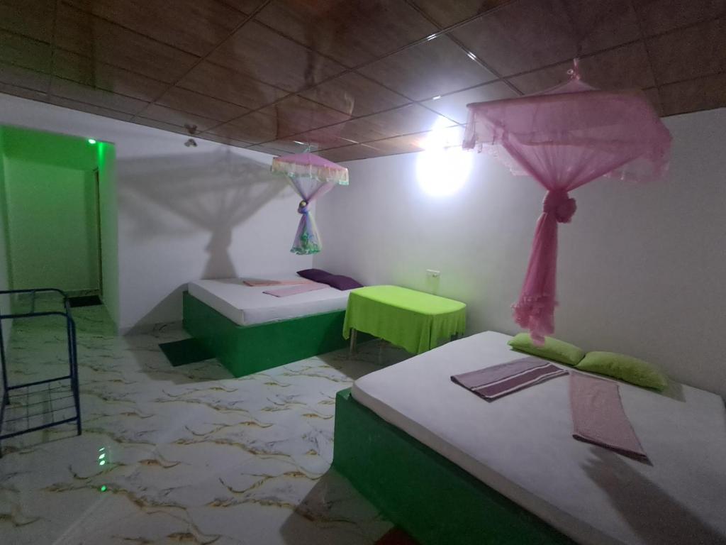 Peacock Family Stay - 13